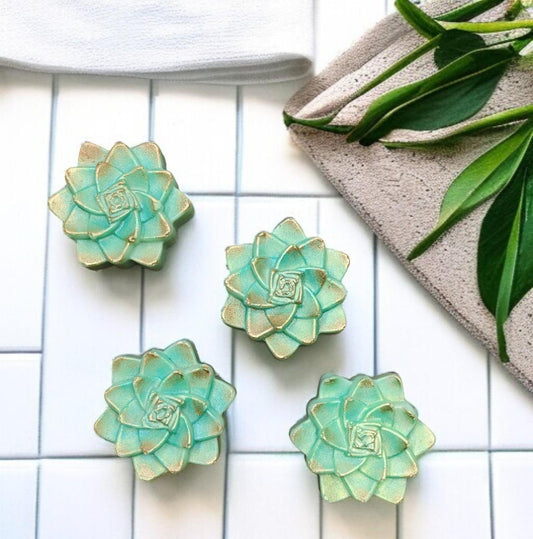 Succulent Soap